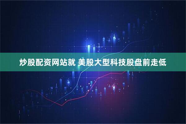 炒股配资网站就 美股大型科技股盘前走低