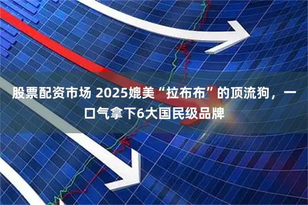 股票配资市场 2025媲美“拉布布”的顶流狗，一口气拿下6大国民级品牌